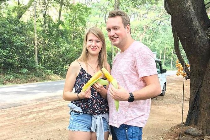 Air port Pick up and Drop to Kandy - Kandy hotel pickup and airport arrival
