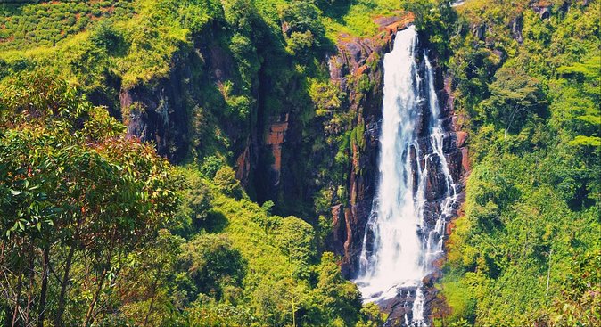 All in one Sri lanka 7nights 8 days for couple price - Nuwara Eliya changes the pace and setting