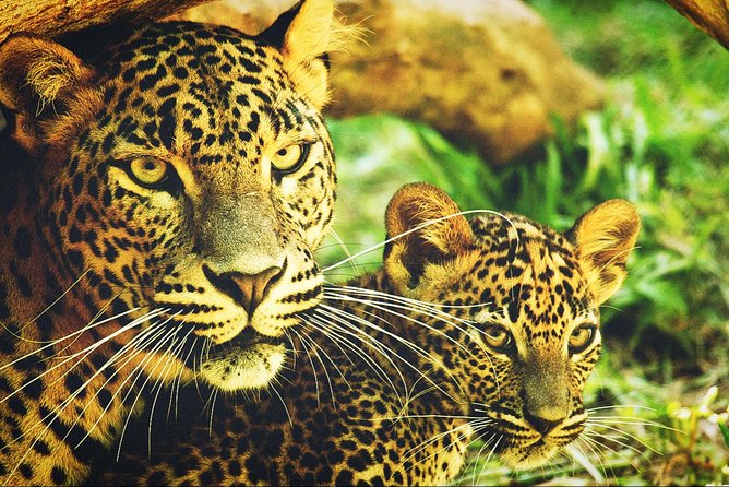 All in one Sri lanka 7nights 8 days for couple price - What the private vehicle changes