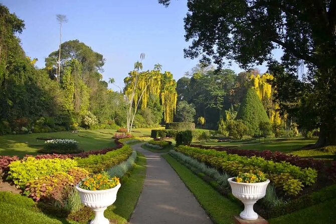 All Inclusive Kandy Private Day Tour From Colombo and Negombo - Wood carving and the shopping stops