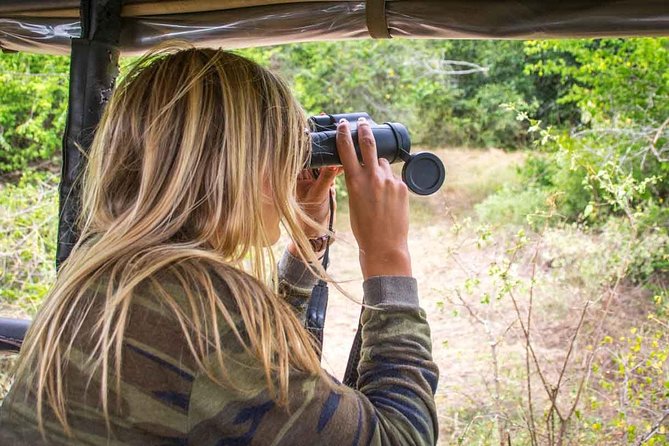 All Inclusive Leopard Nest Treehouse Safari in Yala - The 2:30 pm game drive in Yala National Park