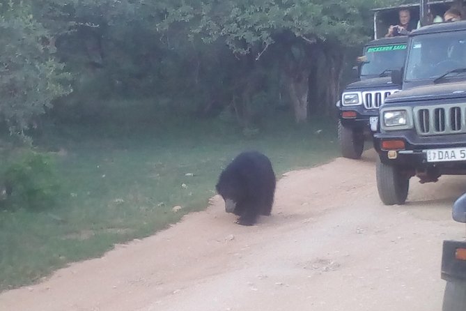 All inclusive Private jeep safari at Yala National park - A 15-hour road day from Colombo to Yala
