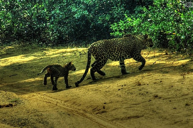 All inclusive Private jeep safari at Yala National park - Sithulpawwa Rock Temple after the safari