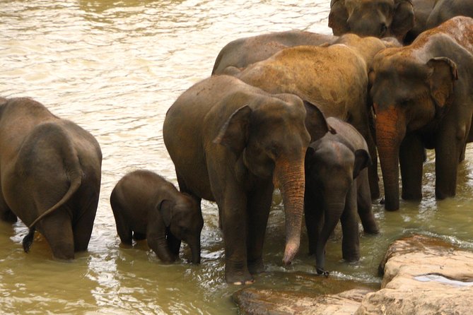 All inclusive Private jeep safari at Yala National park - Tissamaharama is a useful end point