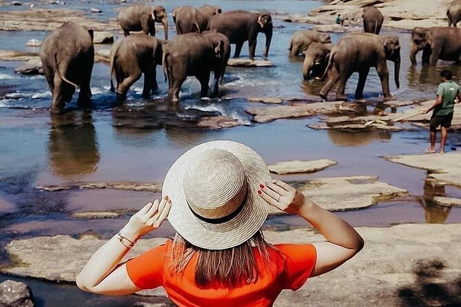 All-Inclusive Private tour in Sri Lankan Island 9 Day HB hotels - A smooth start from the airport to Negombo