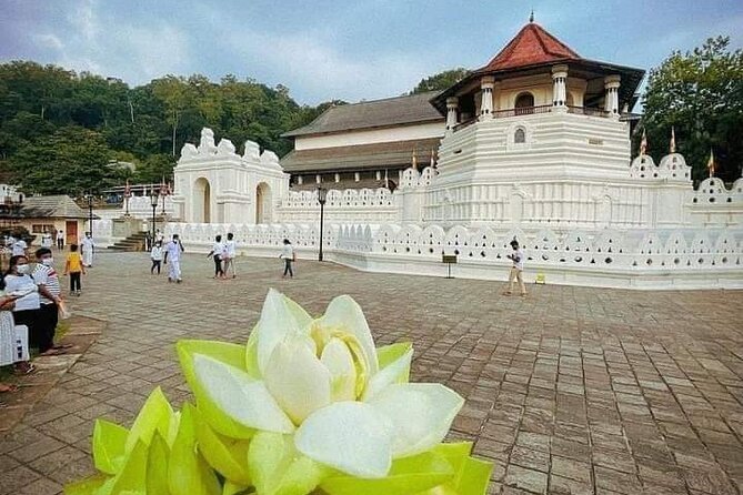 All-Inclusive Private tour in Sri Lankan Island 9 Day HB hotels - Kandy brings temples, spices, and a cultural show