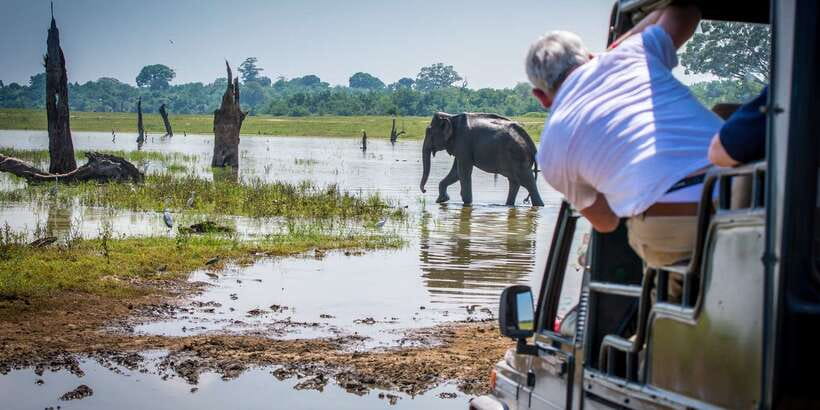 All inclussive Udawalawa National Park Safari From Colombo - Who Should Book This Day Trip