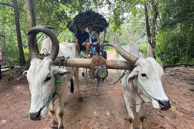 All of Sri Lanka within 10 Days - Elephants, village life, and Polonnaruwa on day three