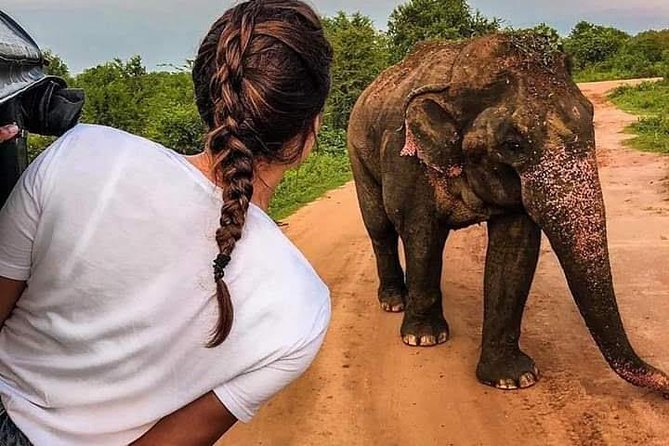 Best Of Sri lanka Tour (06 Days 05 Nights) - Kandy- N.Eliya -Bentota-Colombo - Key points to know before booking