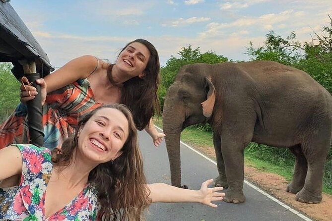 Budget Tours Sri Lanka with 7 Nights accommodation - Day 1: Habarana, Sigiriya country, and a first safari
