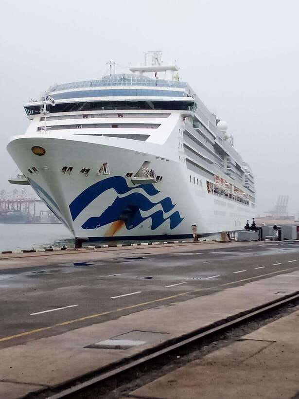Ceylon Tea Experience from Colombo Port Passenger Terminal - Key points to know before booking