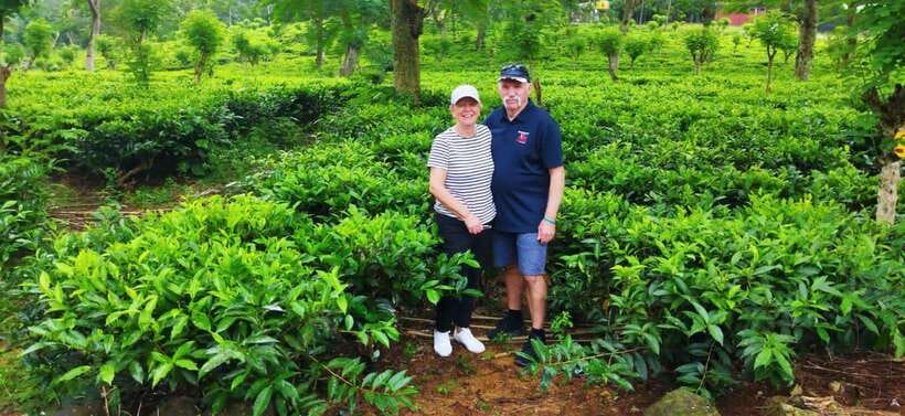Ceylon Tea Experience from Colombo Port Passenger Terminal - What the village route adds
