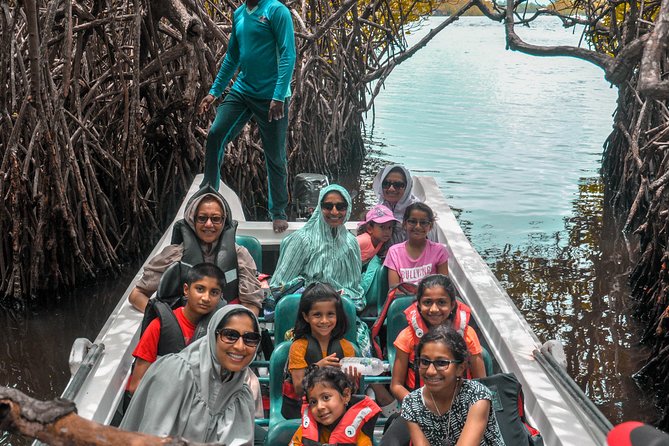 Coastal Ride to Galle from Colombo - Who will get the most from this day trip