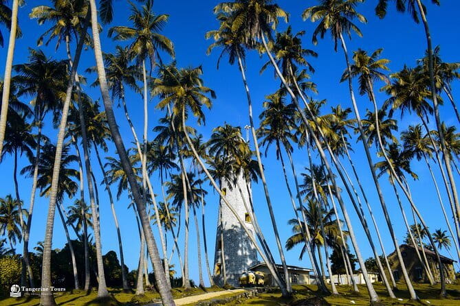 Colombo City Tour By Tuk Tuk (Include Lunch)Morning & Evening - Reading Pettah through its streets