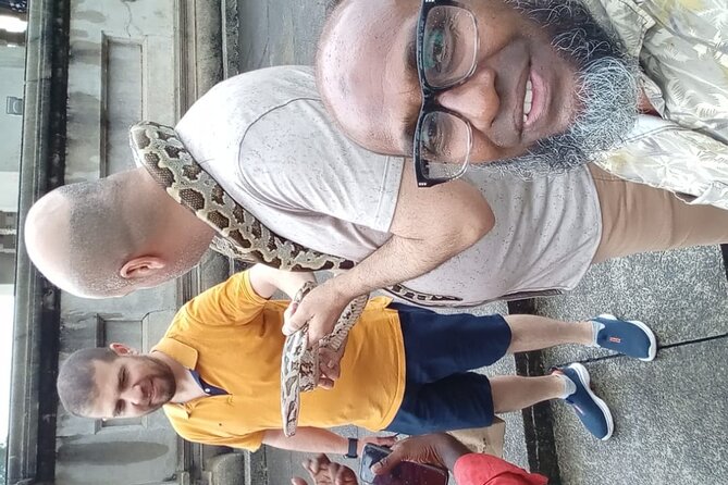 Colombo City Tour By TukTuk Style Morning and Evening - A granite Hindu temple adds another layer