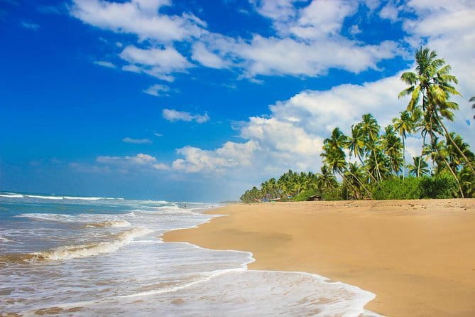 Colombo (CMB) Airport to Kandy City Private Transfer - Optional stops on the way to Kandy