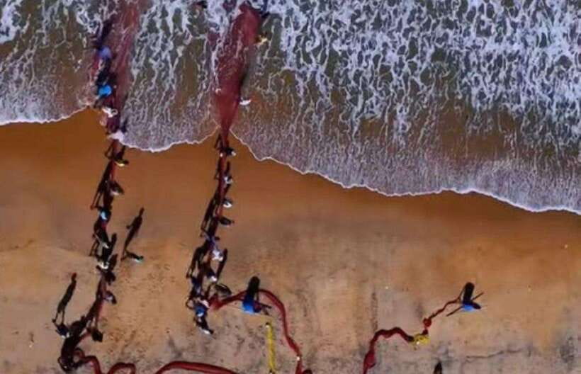 Colombo-Galle Fort, Boat Safari, Turtles, Amazing Group Tour - A full southwest coast day from Colombo