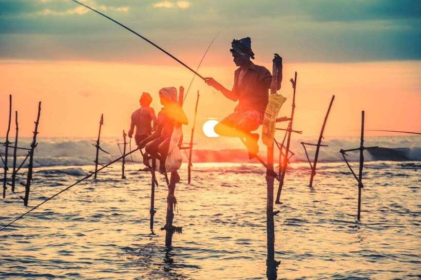 Colombo-Galle Fort, Boat Safari, Turtles, Amazing Group Tour - Kosgoda turtle conservation and the release
