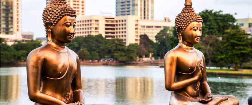 Colombo: Guided City Tour - Who should book this Colombo tour?