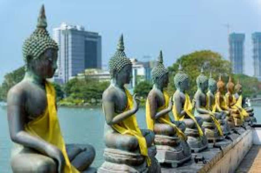 Colombo: Guided City Tour with Entry Tickets - Transport, group size, and comfort