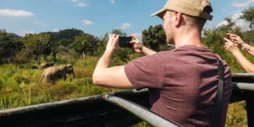 Colombo/Negombo to Sigiriya, Dambulla & Jeep Safari Day Tour - Jeep safari through Sri Lanka’s dry-country parks
