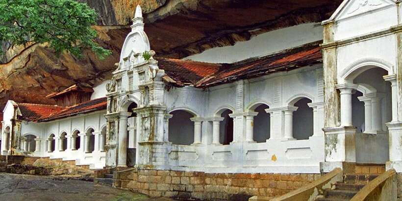 Colombo/Negombo to Sigiriya, Dambulla & Jeep Safari Day Tour - Who should book this day trip?