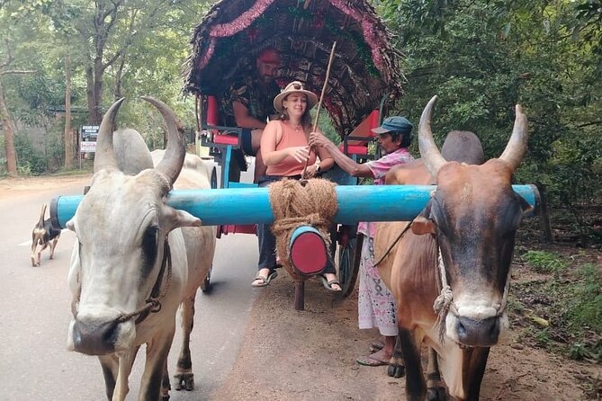 Colombo , Negombo to Trincomalee Transfer and Safari - The price and the value of combining two outings