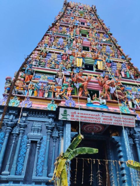Colombo Port Shore Excursions Colombo City & Kalaniya Temple - What the $90 price includes