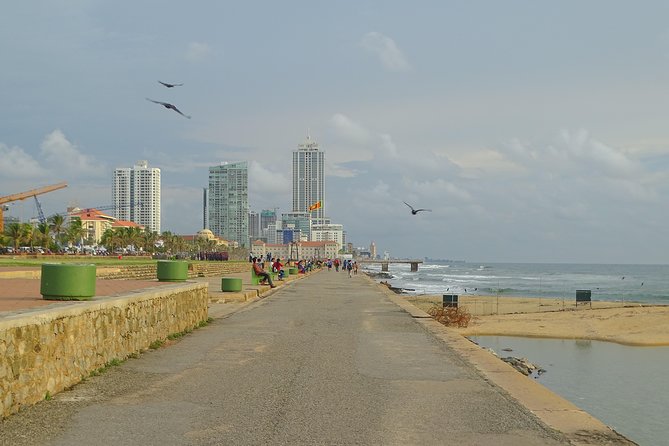 Colombo Shore Excursion from Cruise Port – Private Small Group - Air-conditioned transport for a hot half-day