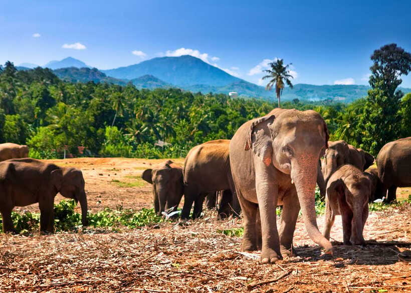 Colombo: Sri Lanka Cultural Triangle Hotspots 2-Day Tour - What the $297 price really covers