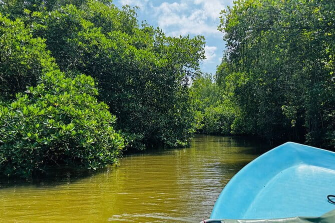 Colombo to Galle All Inclusive Private Day Tour - A three-hour cruise on the Madu River