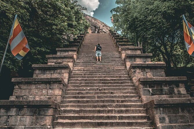 Colombo to Kandy Shuttle with Dambulla Sightseeing Tour - The $100 price and what it covers