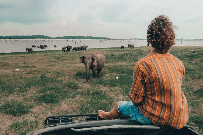 Colombo to Trincomalee Shuttle & Safari Drive - The road from Colombo or Negombo