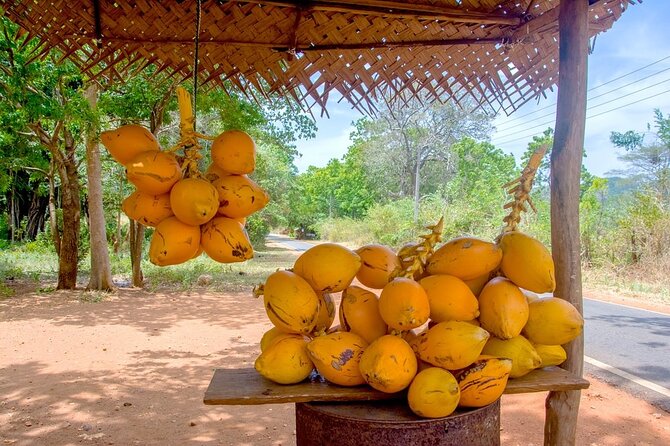 Colombo Tuk Tuk Adventure Explore Food & Culture - The gemstone stop needs a clear expectation