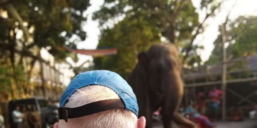 Colombo Tuk Tuk City TourSightseeing EntryFees& FoodIncluded - Key points to know before booking