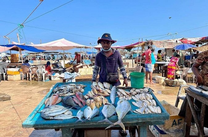 Cooking Class and Market Visit in Negombo - From Negombo’s market to your cooking pot
