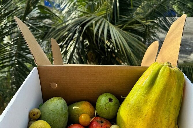 Cooking Class and Market Visit in Negombo - Cooking Sri Lankan food in about 90 minutes
