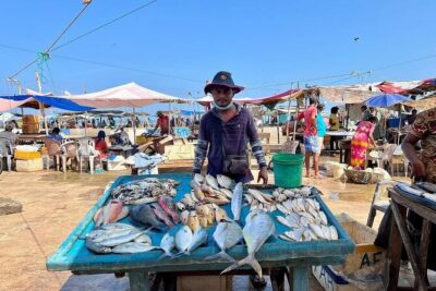 Cooking Class and Market Visit in Negombo