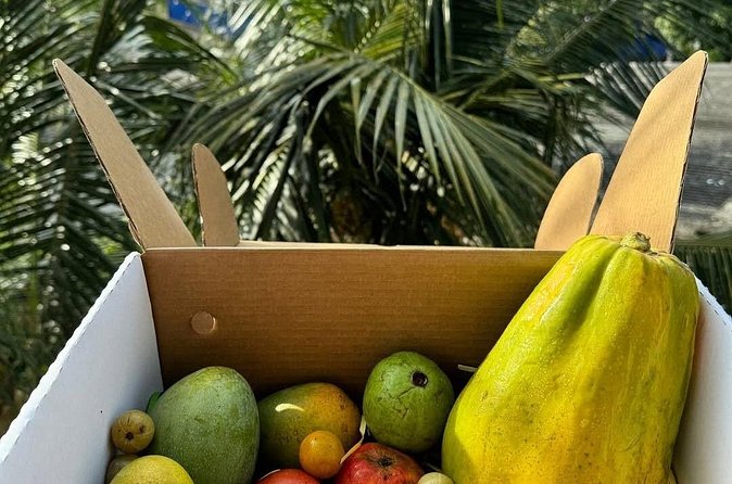 Cooking Class and Market Visit in Negombo - The private format and the role of Shashi