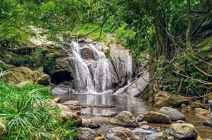 Customized Multi-Day Private Tour Packages in Sri Lanka - Day 4: Wildlife parks and Ella’s famous railway bridge