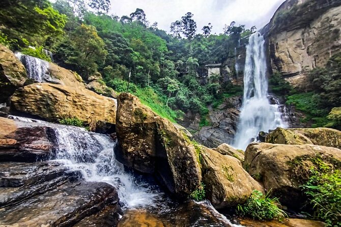 Customized Multi-Day Private Tour Packages in Sri Lanka - Day 5: Mirissa, Galle Fort, and the south coast