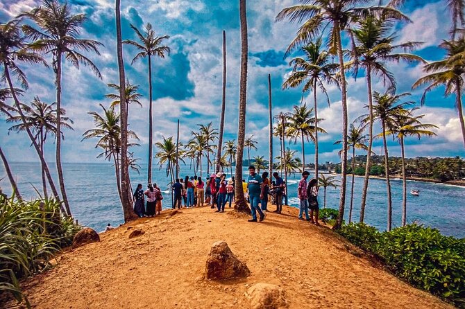 Customized Multi-Day Private Tour Packages in Sri Lanka - Day 6: Madu River and rescued sea turtles