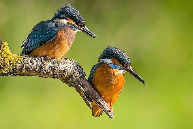 Day Tour to Anawilundawa Wetland Sanctuary - Key points to know before booking