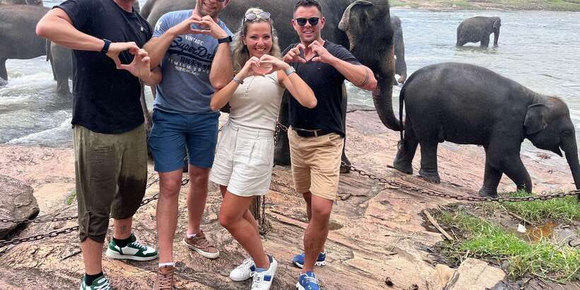 Day Tour to Elephant Orphanage / spice garden - The spice garden question