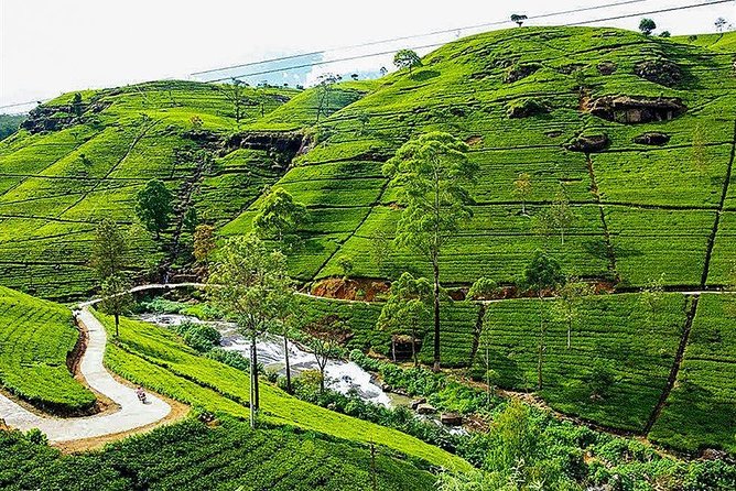 Day Tour to Nuwara Eliya from Kandy by Lux Tours Lanka - Key things to know before booking