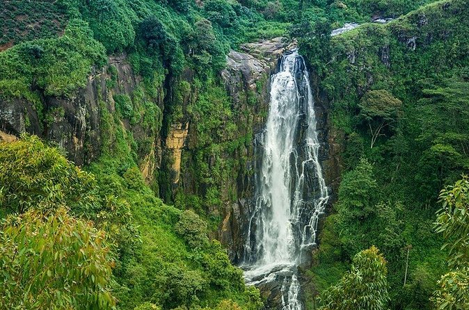 Day Tour to Nuwara Eliya from Kandy by Lux Tours Lanka - Victoria Park: polished lawns beside a busy town