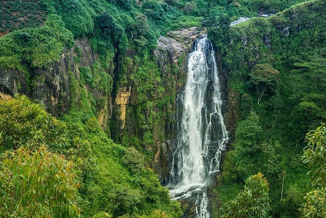 Day Tour to Nuwara Eliya from Kandy by Lux Tours Lanka - Hakgala Botanic Gardens: beautiful, but costly and rushed