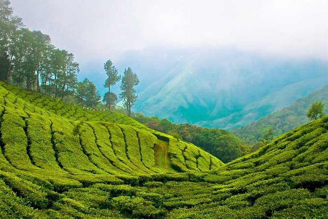 Day Tour to Nuwara Eliya from Kandy by Lux Tours Lanka - How the private format affects the day