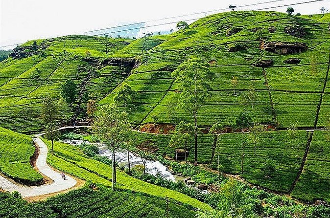 Day Tour to Nuwara Eliya from Kandy by Lux Tours Lanka - Is $160 good value?
