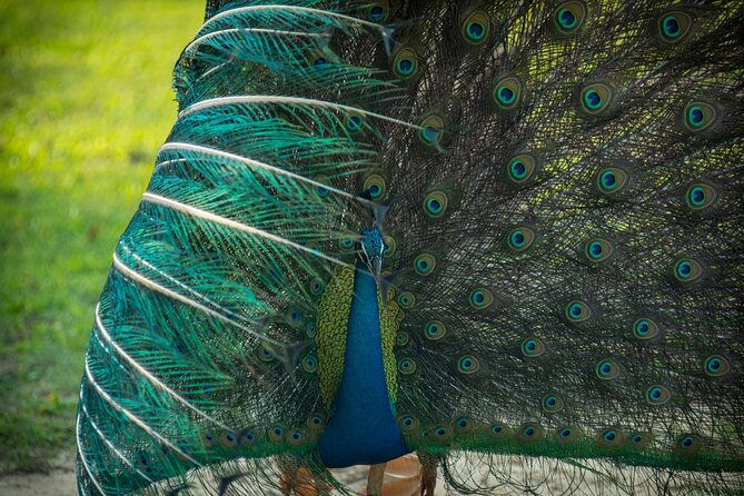 Day Tour to Wilpattu National Park from Colombo - Four hours from Colombo to a very different Sri Lanka
